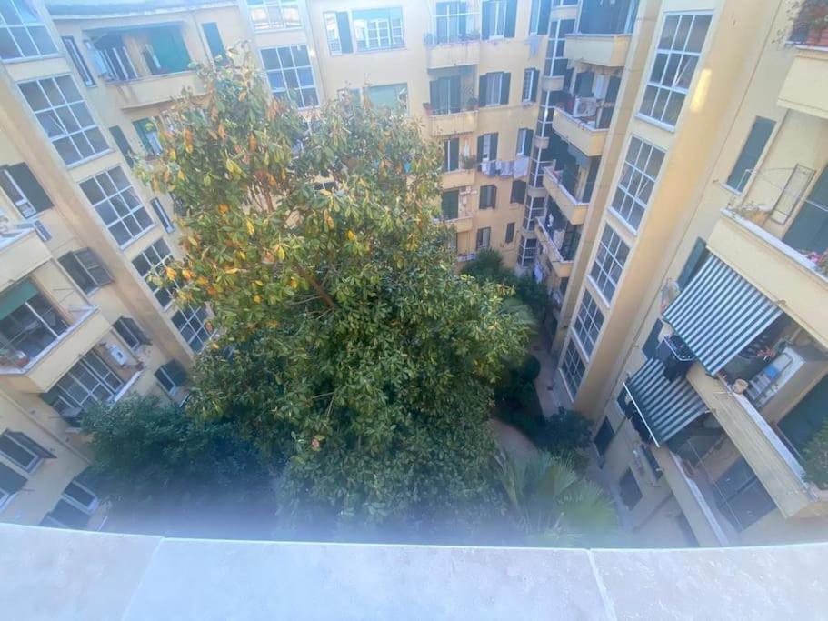 Domus Giulia & Andrea Apartment